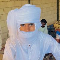 الصوت الأصلي