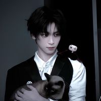 jianbao._28