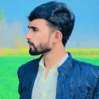 hasnatali337