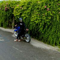 4vraidarhakim