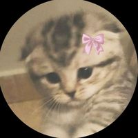 _warda_here_
