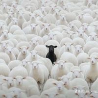 emmanuelabana_10