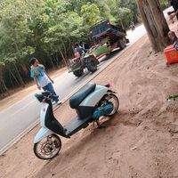 bongsen231