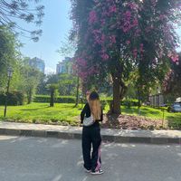 .rohisha_