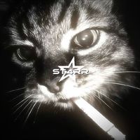 nhạc nền - ✩ST4RR✰