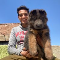 momenmamdouh693