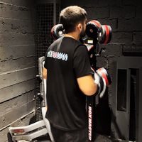 _mamedov_2004_