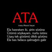 qemli_qi14