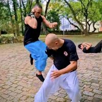 kungfudosanimais