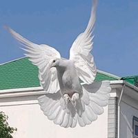 оригинальный звук