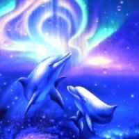 user776852219510