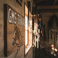 gms_traias2017
