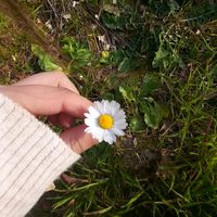 notfound.468