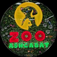 zooashgabatgruming