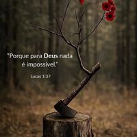buscaradeusdetodocoracao