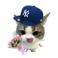 original sound - ouad_wpk