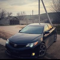 amirkulov_1