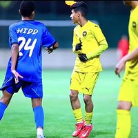 alsairafi30