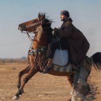 الصوت الأصلي