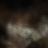user_not_active45