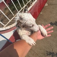 don_vrg_28
