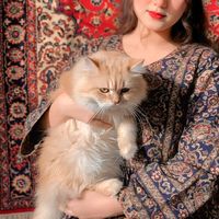 maham_baloch29