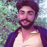 sherazi.pitafi