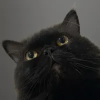 เพียงเธอ