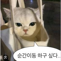 user92018146688227