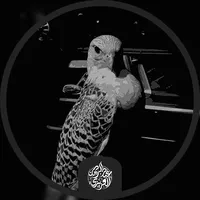 original sound - 2.ln