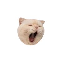 suara asli - TEMPLATE