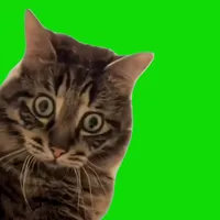 original sound - aqui_e_diversao_total