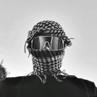 luux_diib1