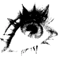 original sound - enjxas