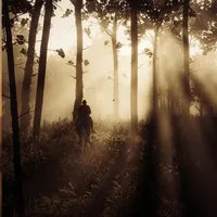 original sound - javiz_