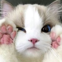 เสียงต้นฉบับ - ความรู้สึกเทาๆ ❤️‍🩹vs💝