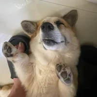 original sound - 5thyyy