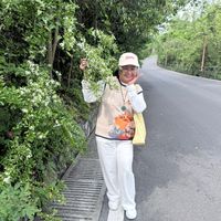 original sound - AnnieL6677