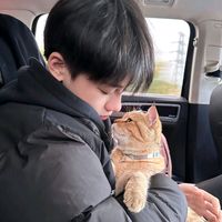 suara asli - 小礼