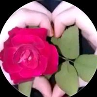 mohibur.rahman0416
