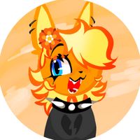 orange_cat_amanda