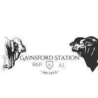 gainsfordstation