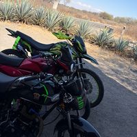 xix7645