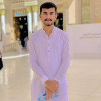 rajahassanali334