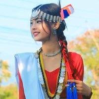 swikritee.chaudha