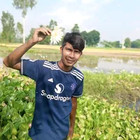 original sound - md..normohammod1