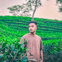 user994281229