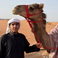 الصوت الأصلي