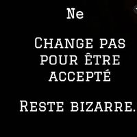 bebestar2026