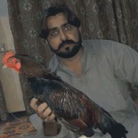 mutlib702